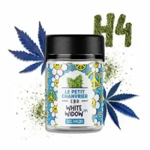 H4CBD White Widow 5gr 30% – Le Petit Chanvrier