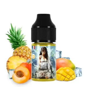 Tribal Fantasy Avalanche 30ml  – Aroma Concentrado